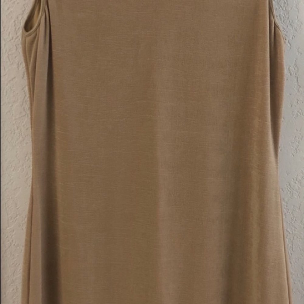 Gold Dress with Fringe